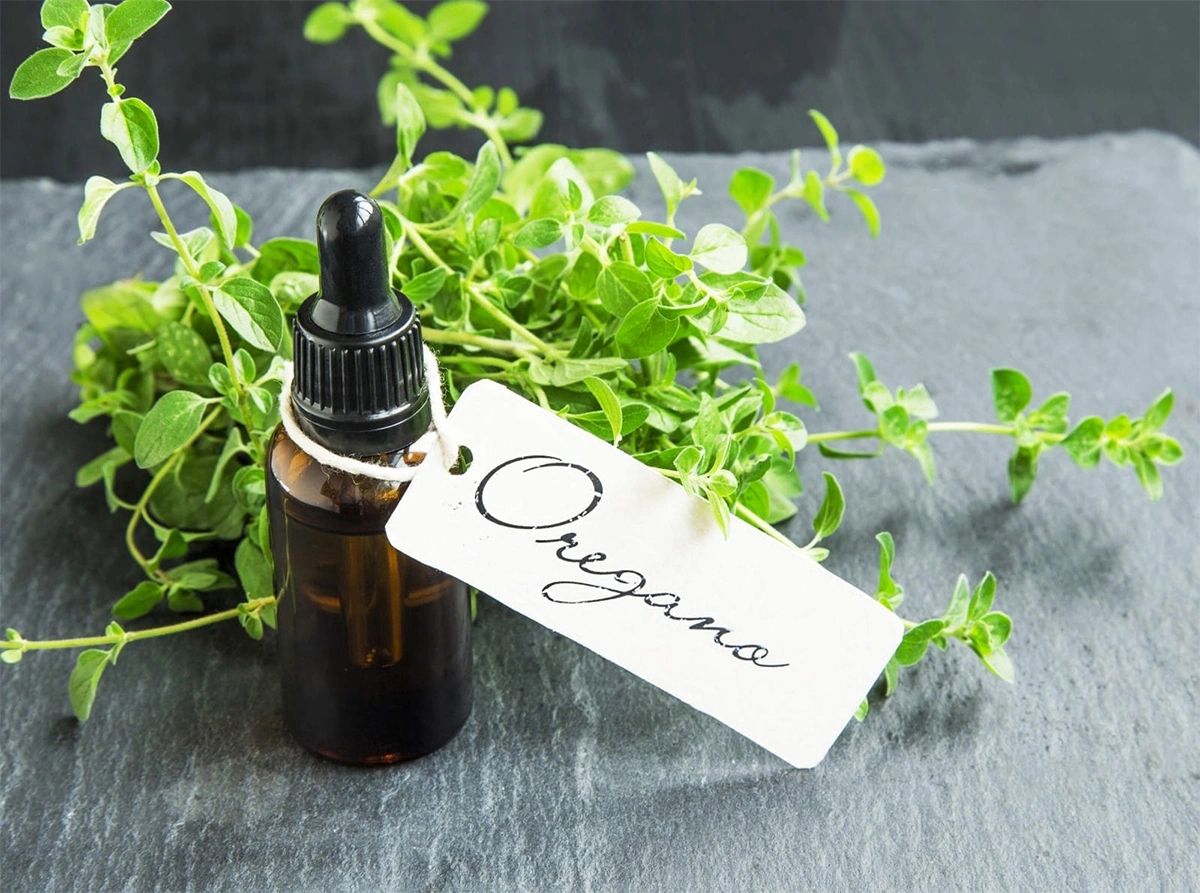 Oil of oregano and fresh oregano leaves
