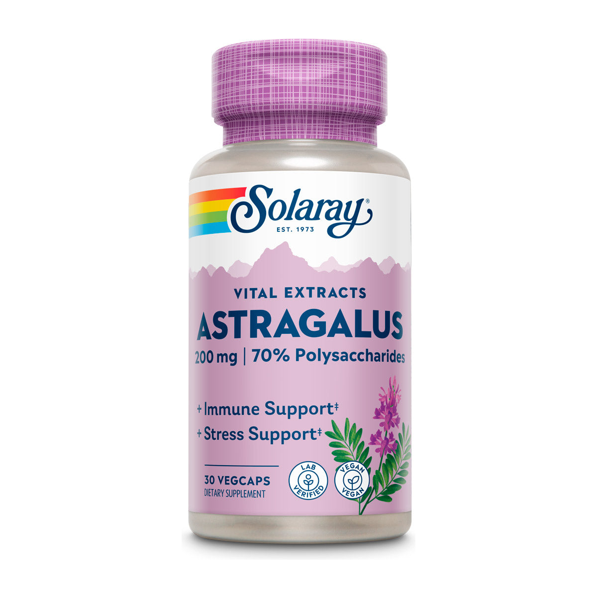 Solaray Astragalus Root Extract 200mg - 60 Capsules