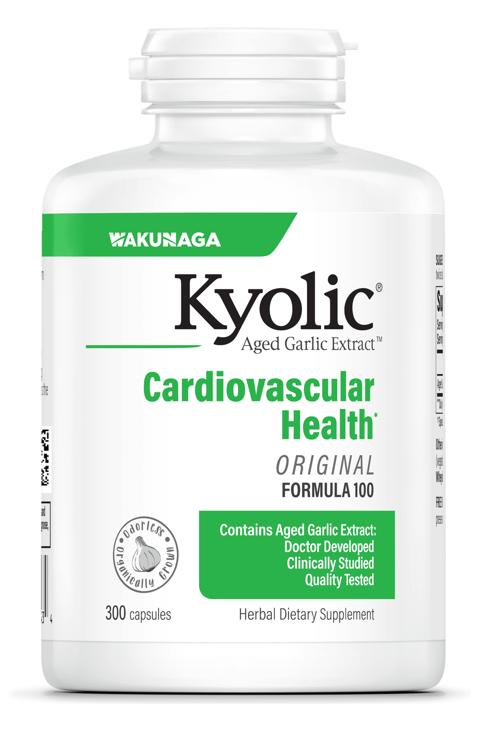 Kyolic Aged Garlic Extract Cardiovascular Health Original Formula 100
