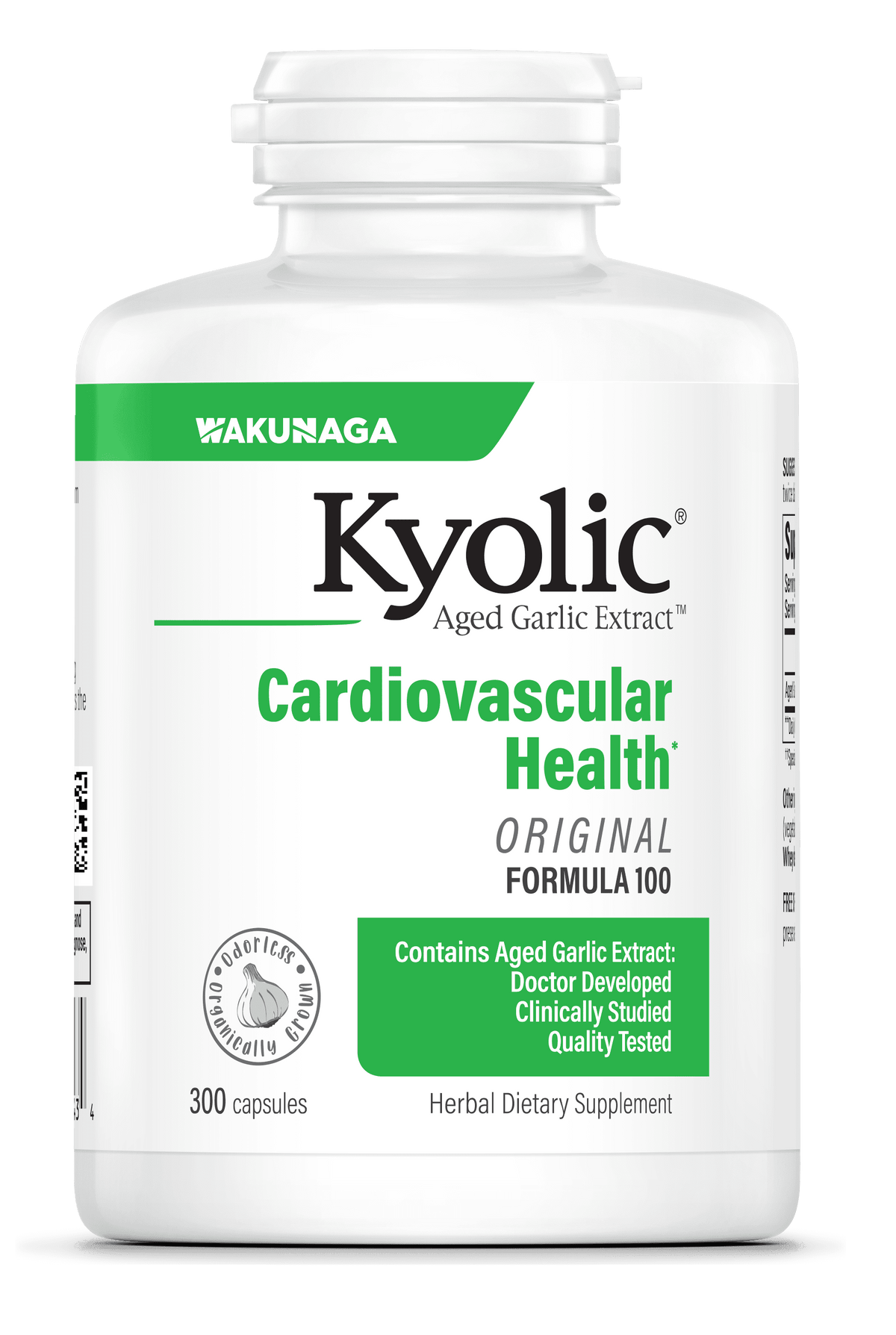 Kyolic Aged Garlic Extract Cardiovascular Health Original Formula 100