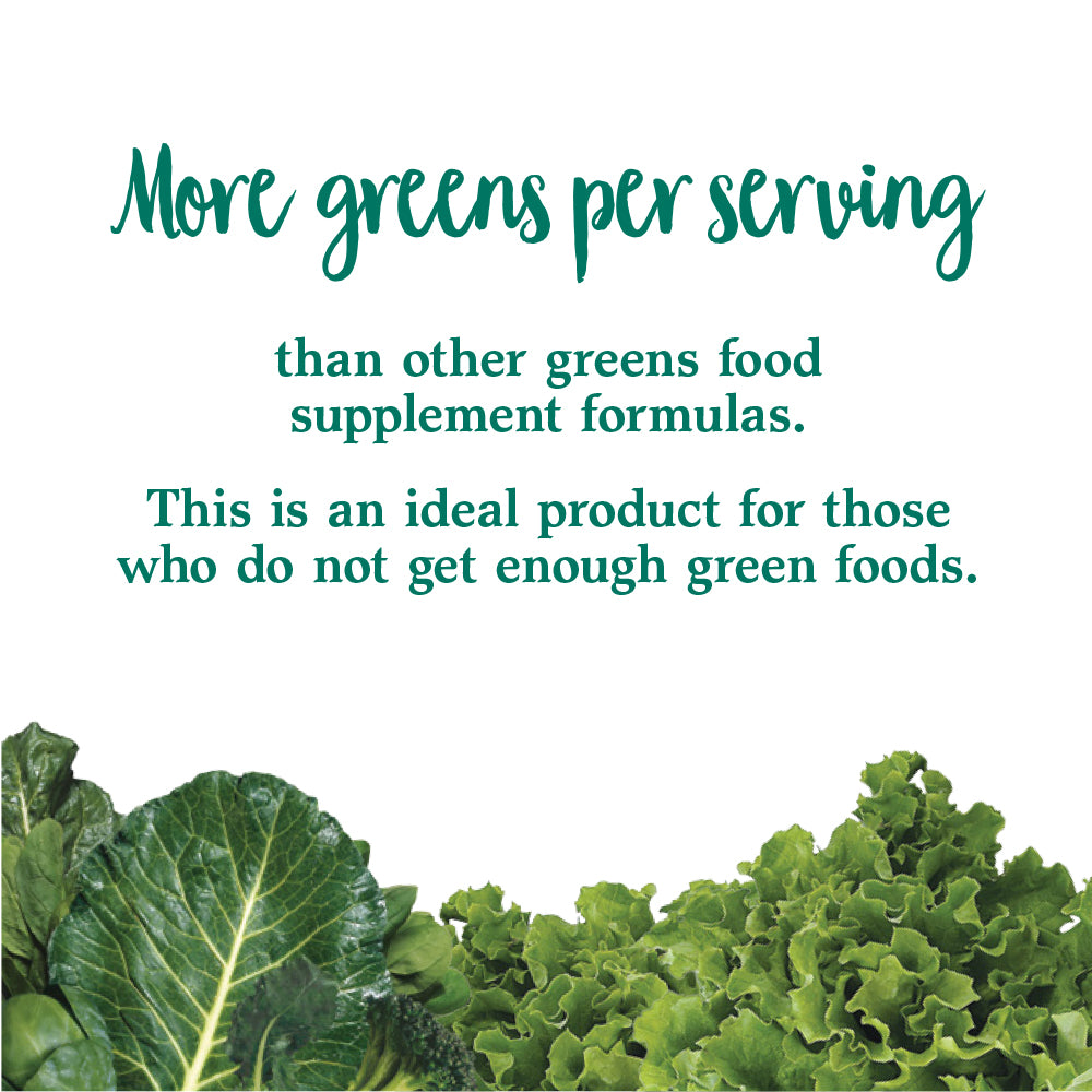 Garden of Life Raw Organic Perfect Food Green Superfood Powder - Key Benefits
