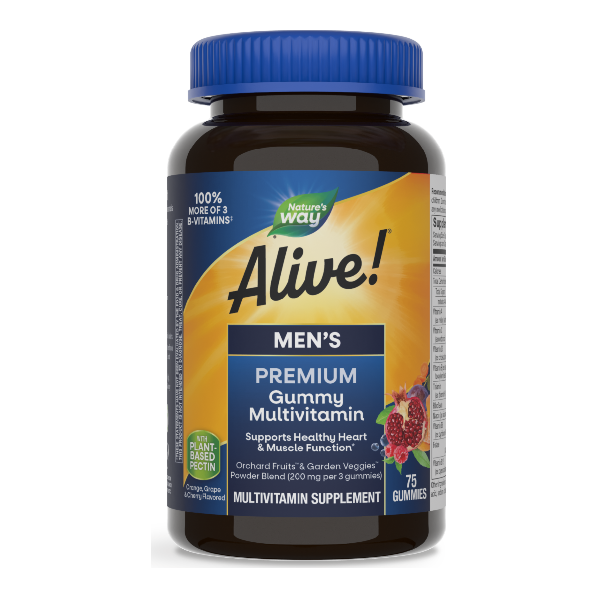 Nature's Way Alive Men's Gummy Vitamins - 75 Gummies