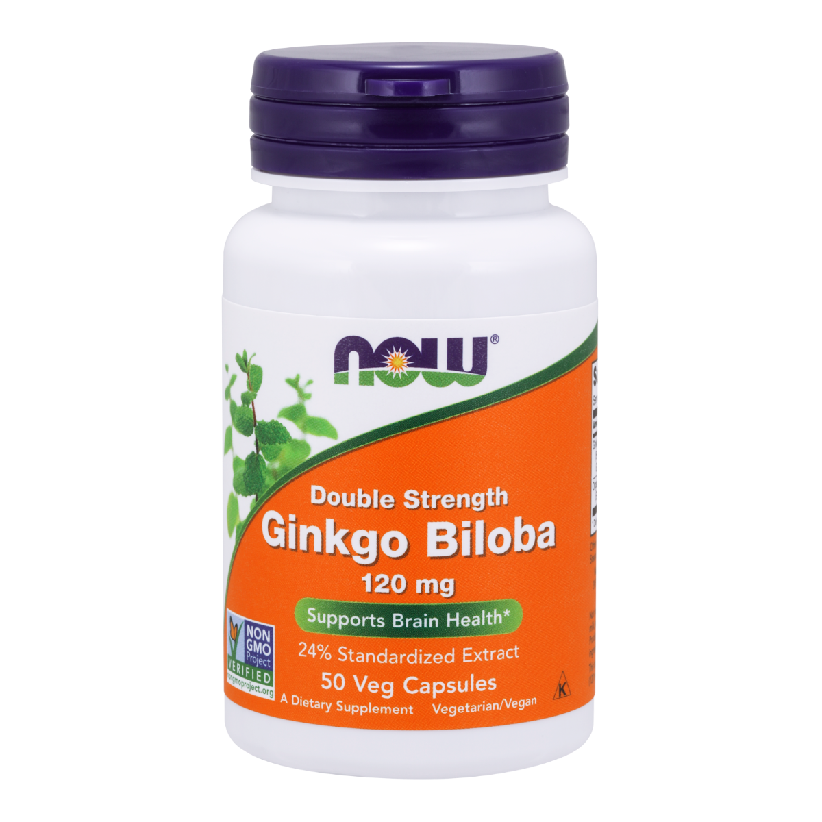 NOW Foods Ginkgo Biloba 120mg - 50 Vegetable Capsules