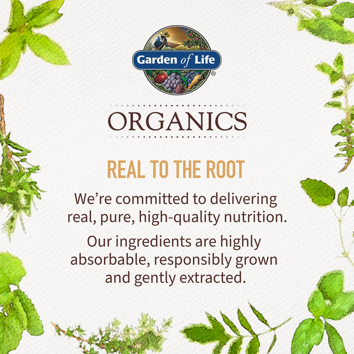 Garden of Life Organic Plant Collagen Builder - Claim