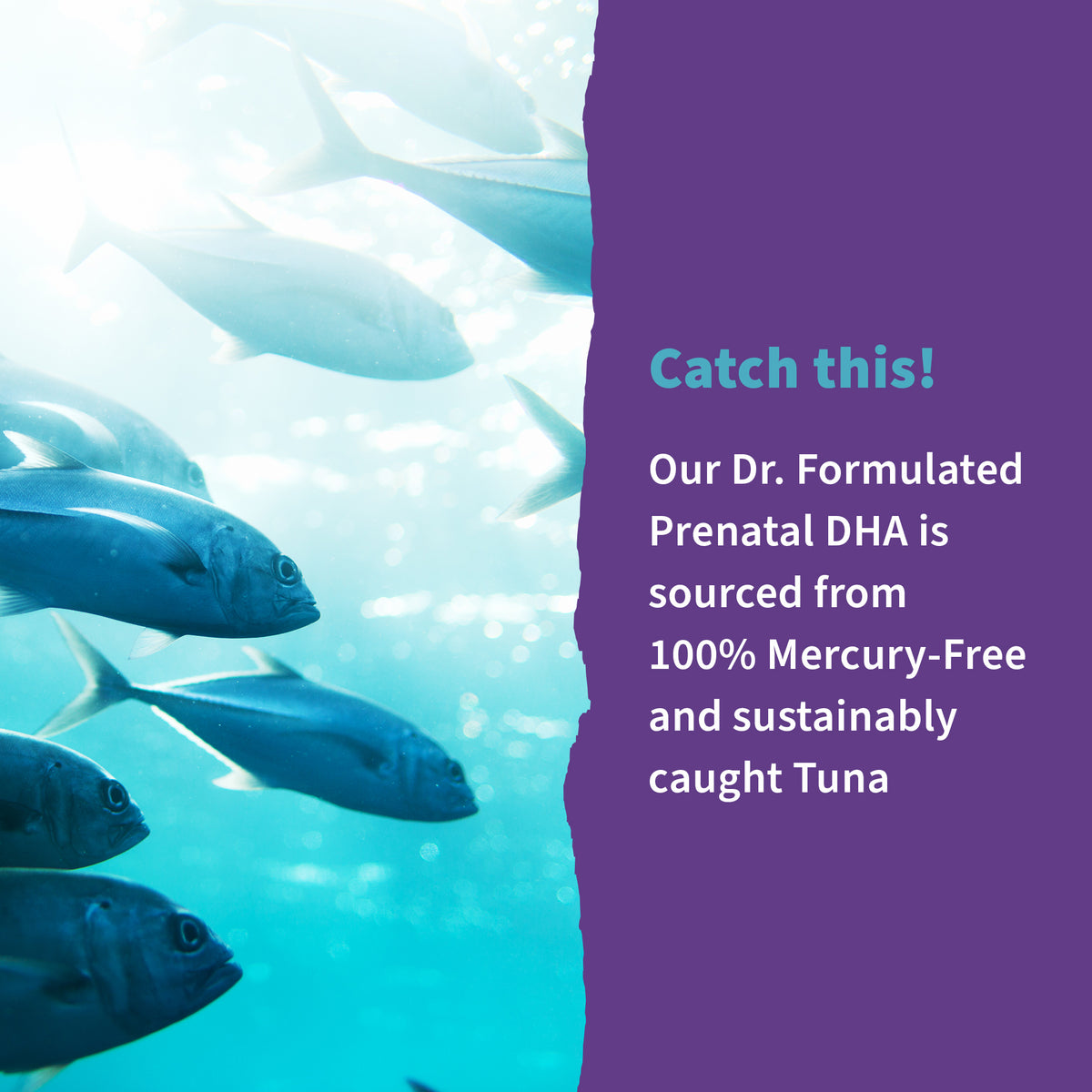 Garden of Life Dr. Formulated Prenatal DHA Softgels - Key Benefits