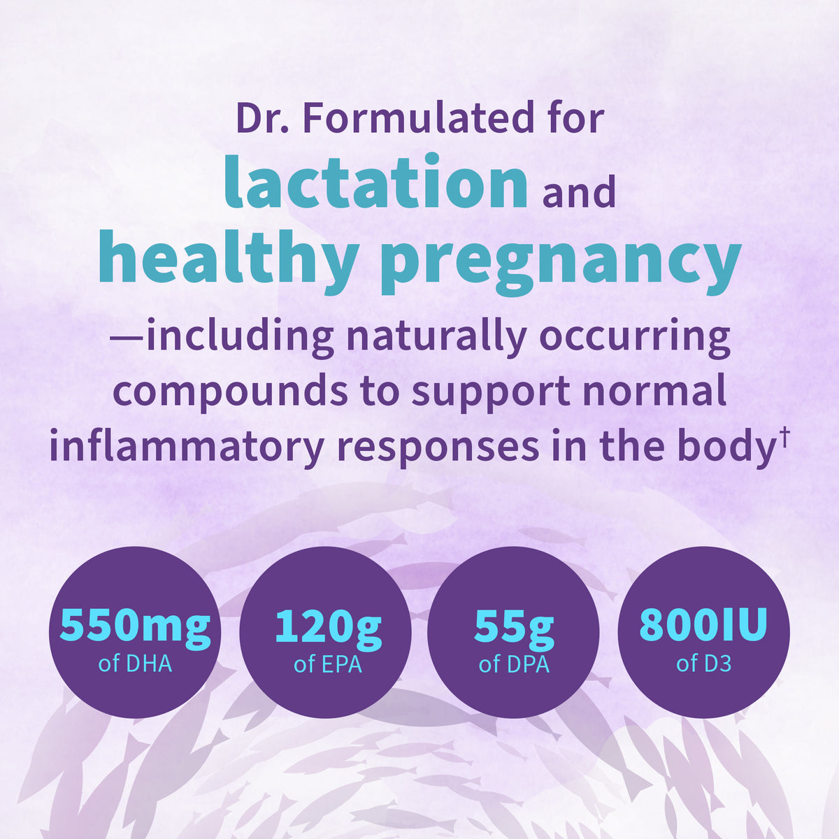 Garden of Life Dr. Formulated Prenatal DHA Softgels - Ingredient Highlight