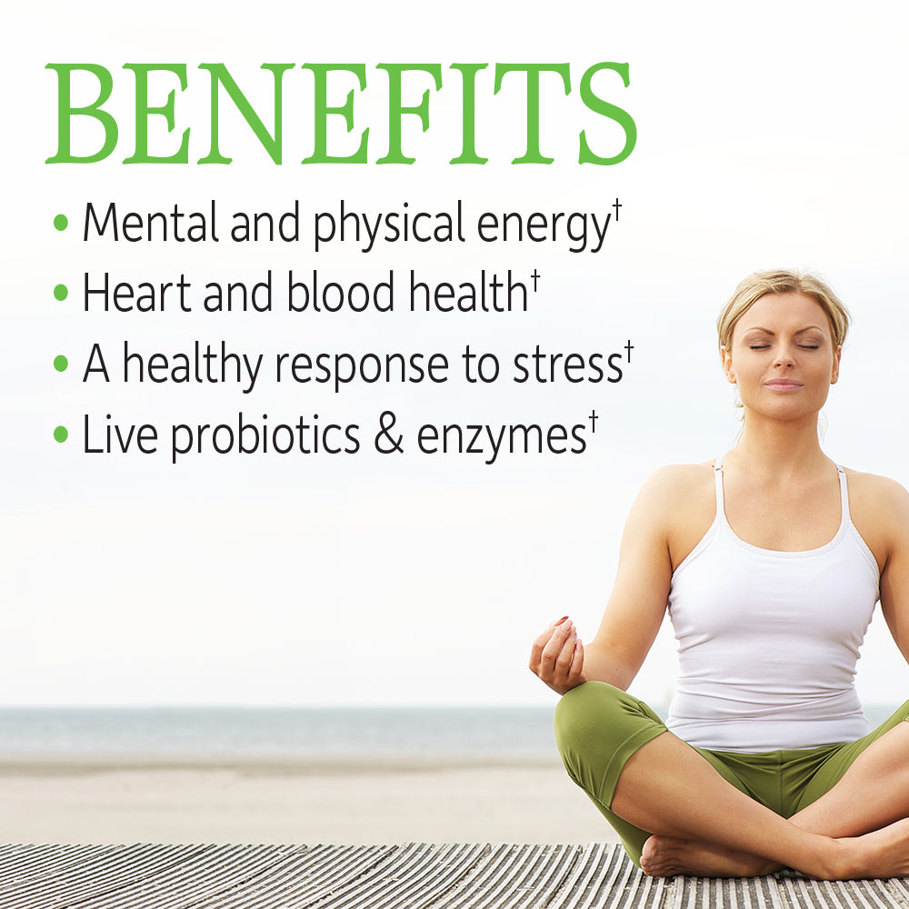 Garden of Life Vitamin Code Raw B-Complex - Key Benefits