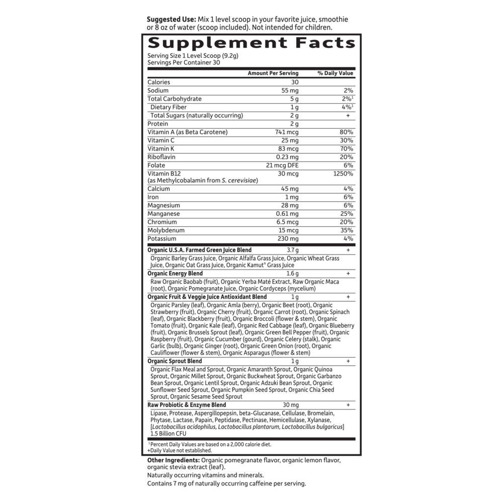 Garden of Life Raw Organic Perfect Food Energizer - Yerba Mate Pomegranate - Supplement Facts - 10 OZ
