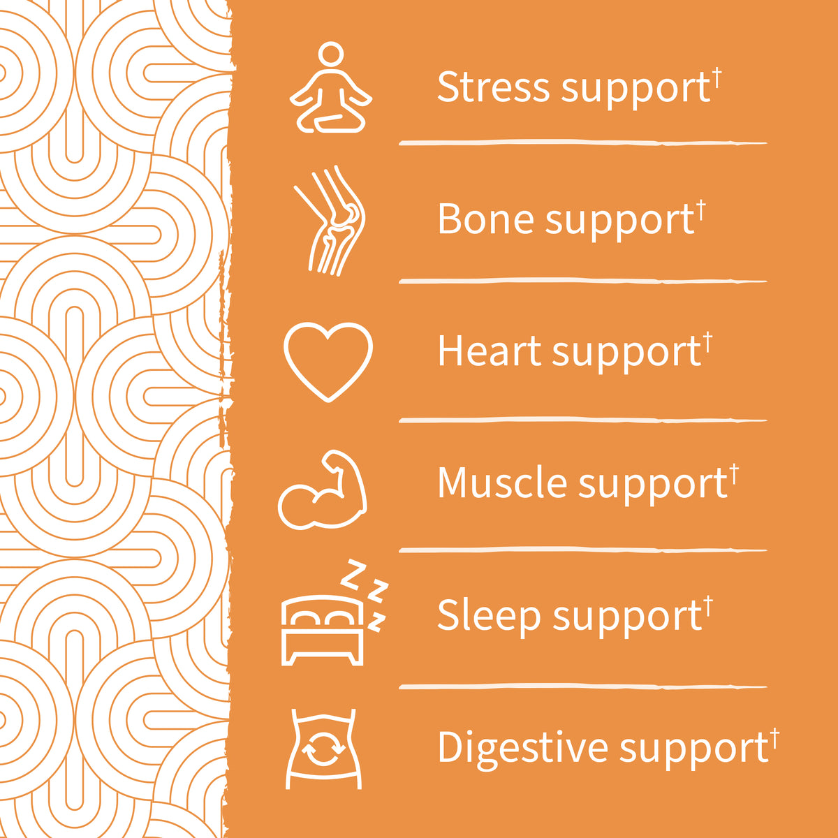 Garden of Life Dr. Formulated Magnesium Gummies - Peach - Key Benefits