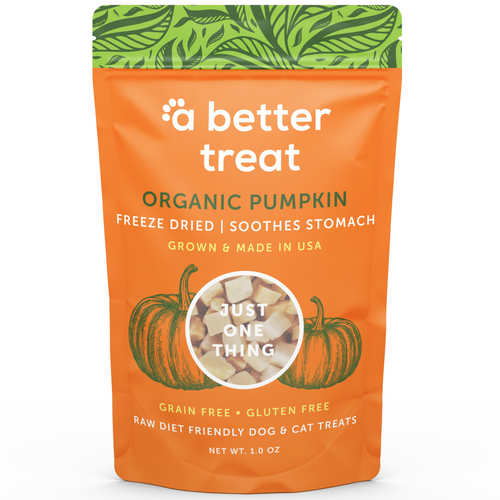 A Better Treat Freeze Dried Raw USDA Organic Pumpkin Dog & Cat Treats Standard 1 pack