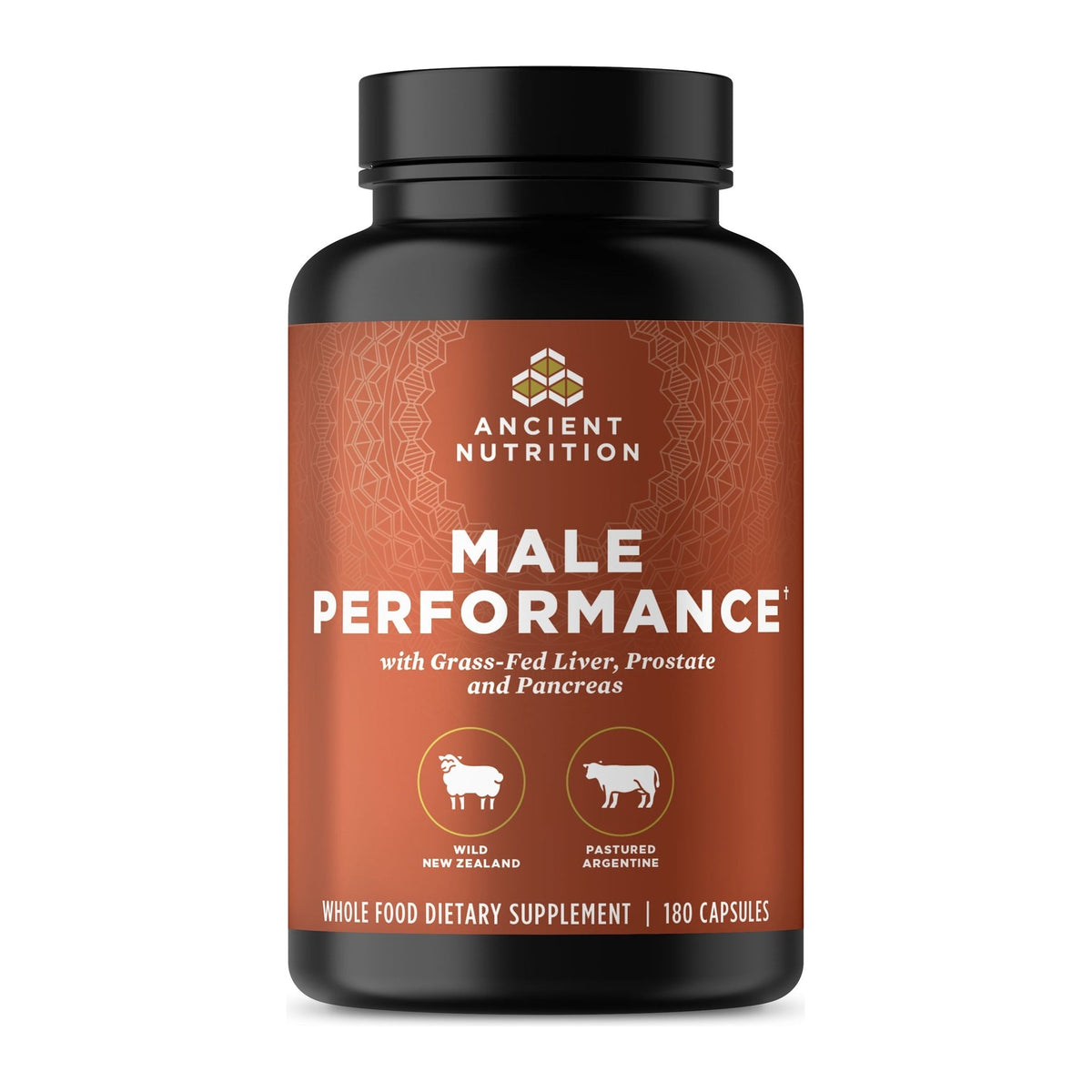 Ancient Nutrition Male Performance Grass Fed