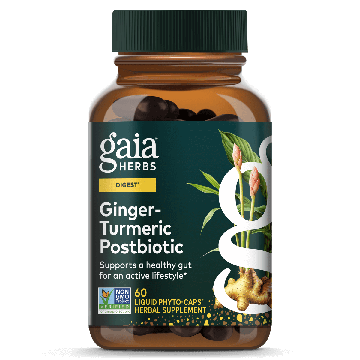 Gaia Herbs Ginger Turneric Postbiotic Capsules