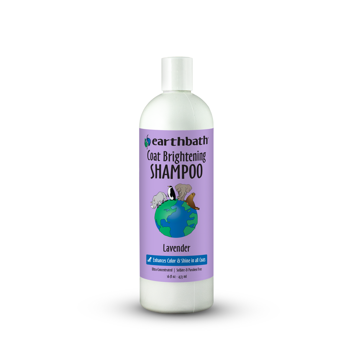 Earthbath Coat Brightening Shampoo