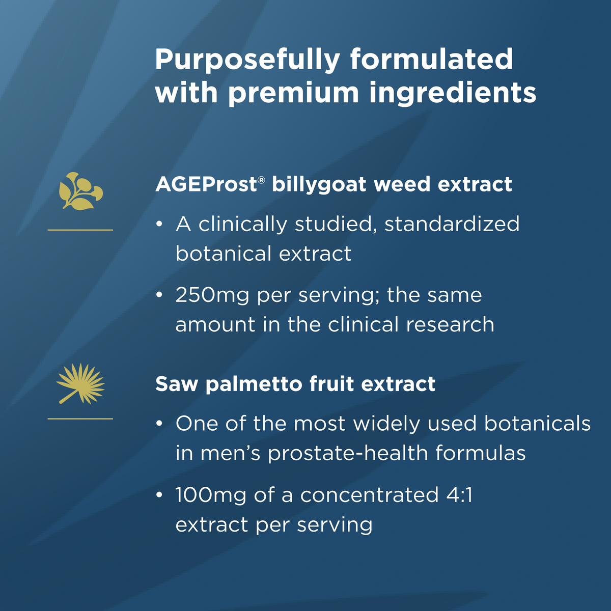 Ancient Nutrition Men's Prostate Support - additional view 1