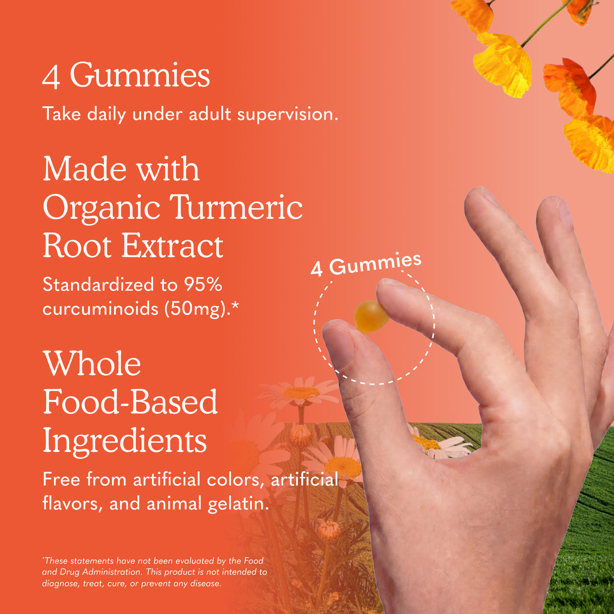 Garden of Life Organics Turmeric Inflammatory Response Gummies - Ingredient Highlight