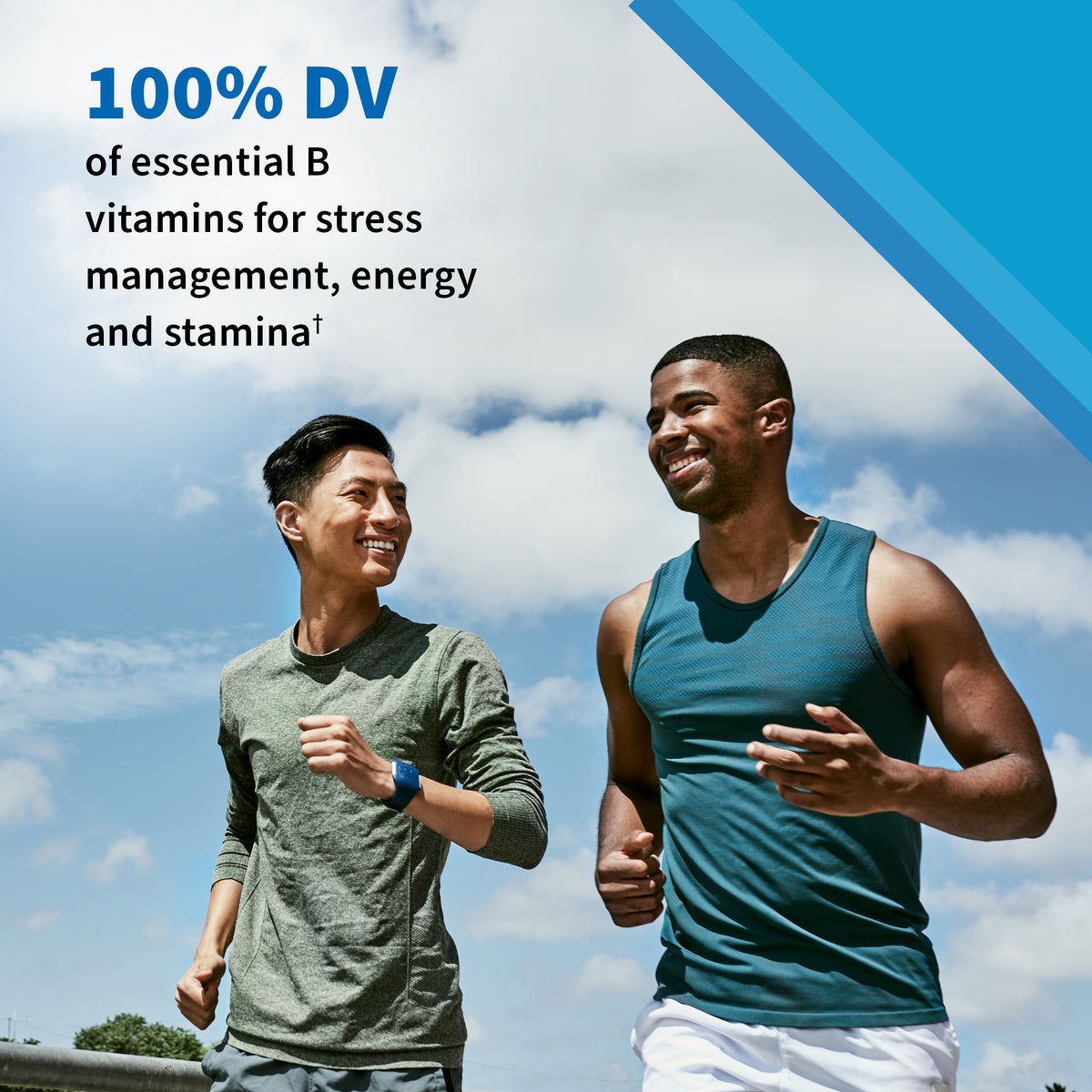 Garden of Life Vitamin Code Men's Multi Gummies - Ingredient Highlight
