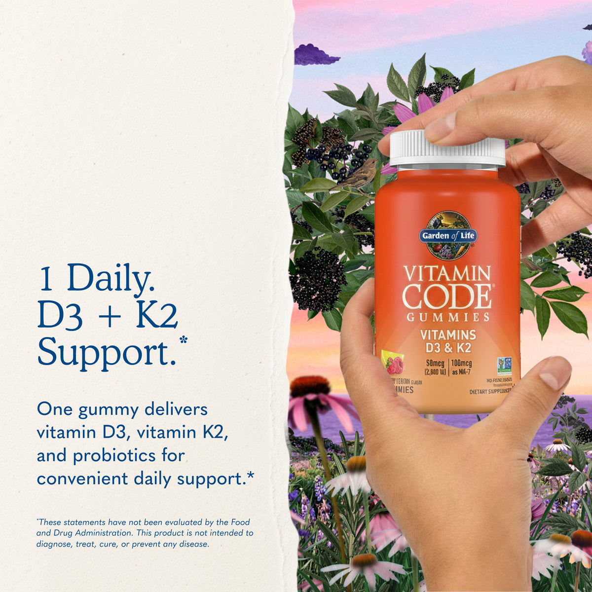 Garden of Life Vitamin Code D3 Plus K2 Gummies - Key Benefits