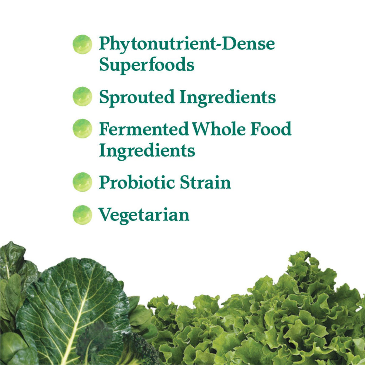 Garden of Life Raw Organic Perfect Food Green Superfood Powder - Ingredient Highlight