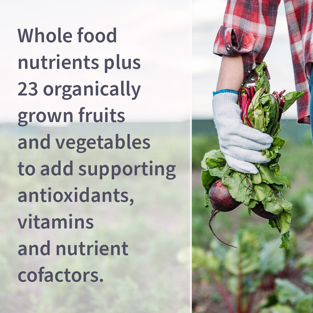 Garden of Life Vitamin Code Raw B-Complex - Ingredient Highlight