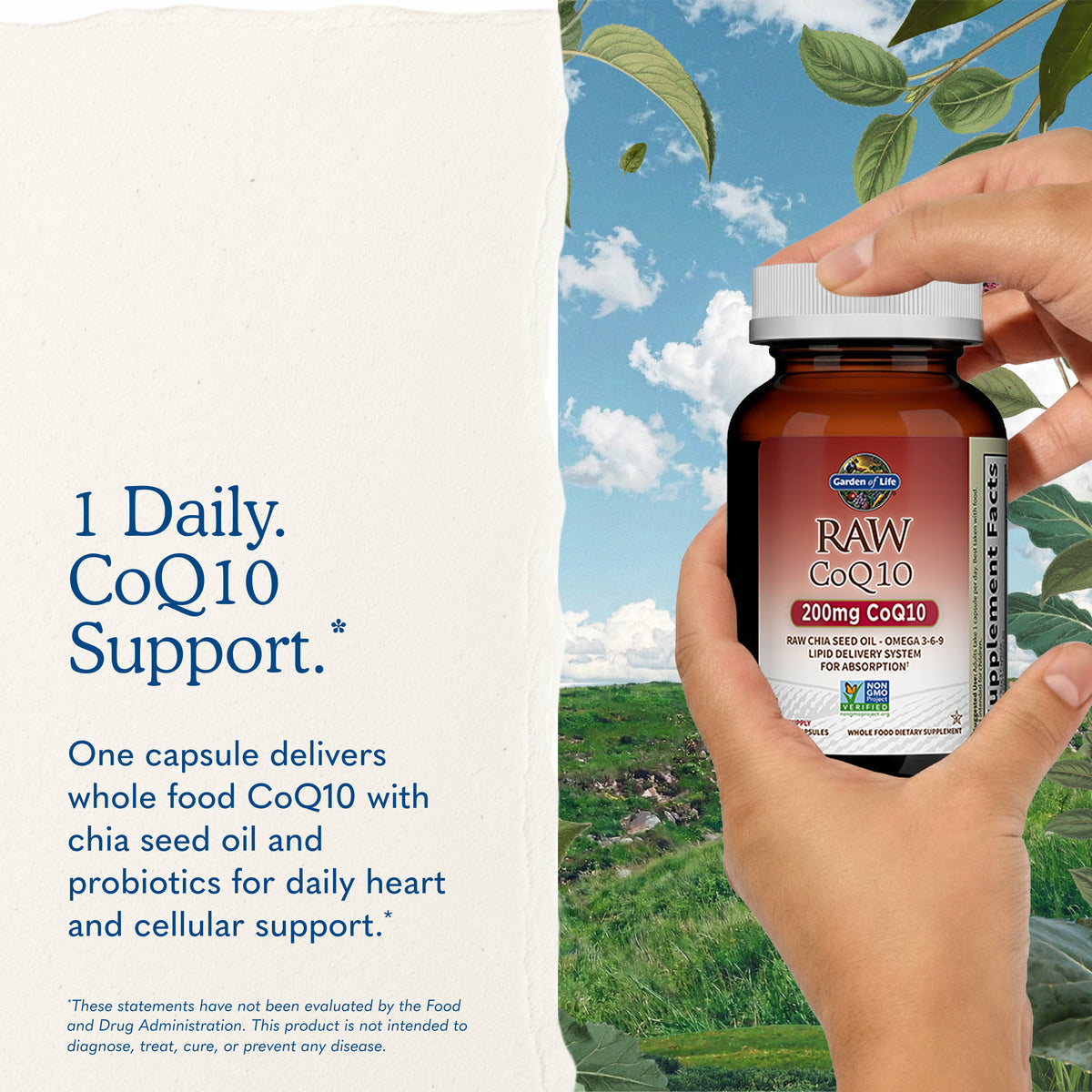 Garden of Life Raw CoQ10 - Key Benefits
