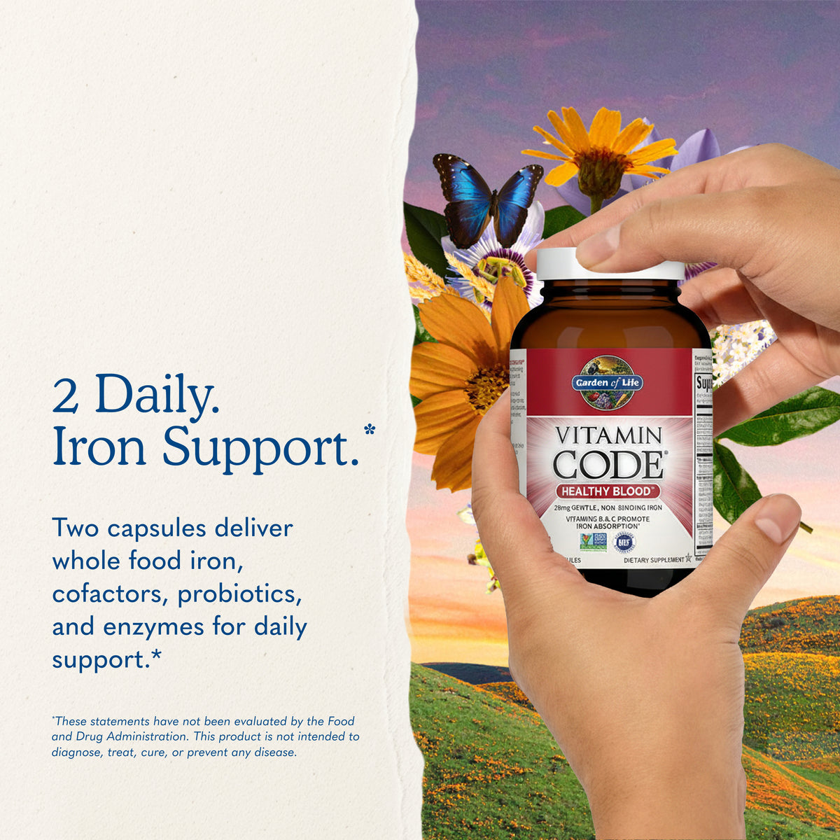 Garden of Life Vitamin Code Healthy Blood - Key Benefits