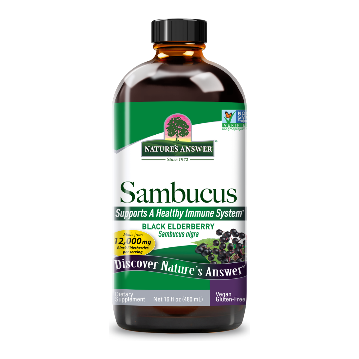 Nature's Answer Sambucus Super Concentrated, 16 fl oz