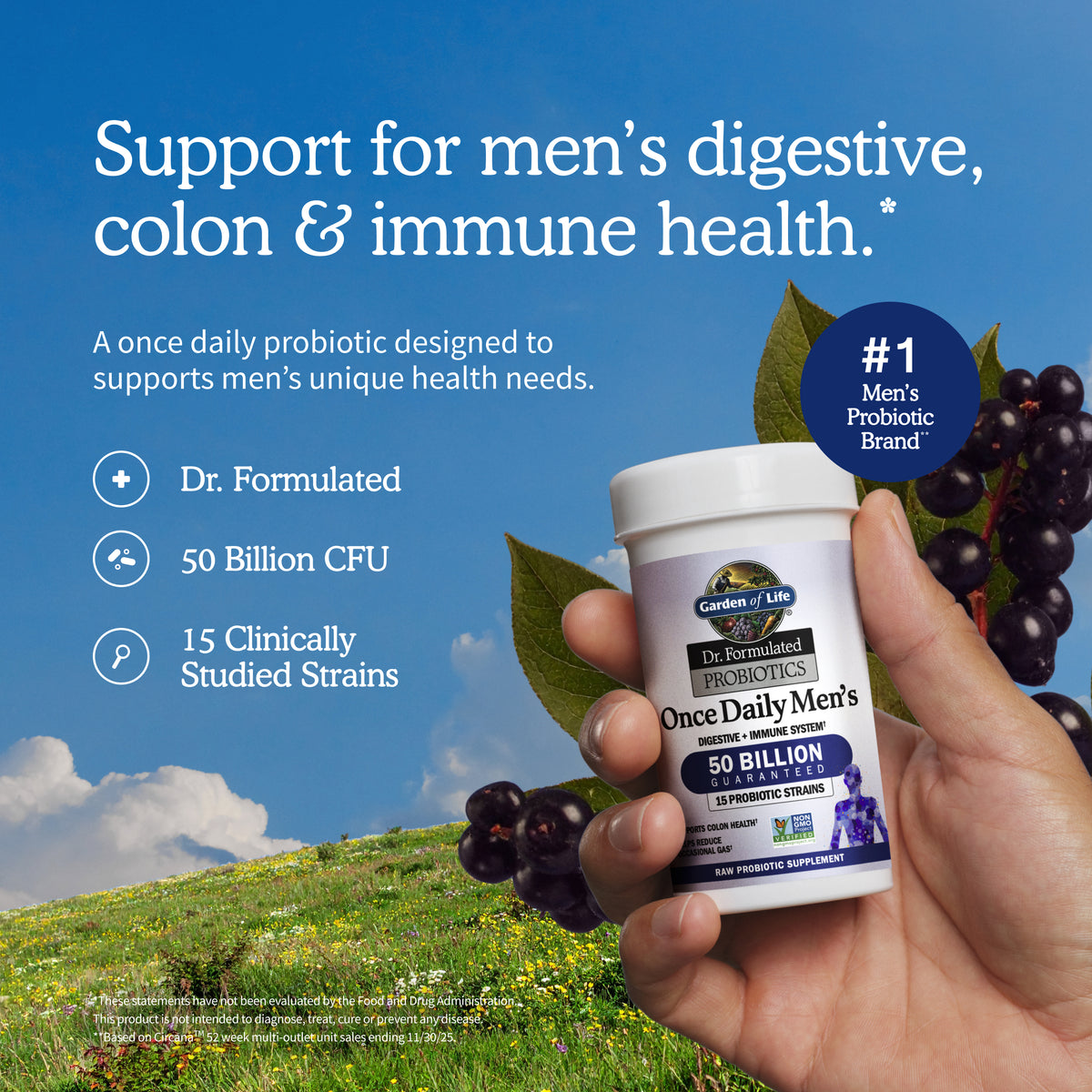 Garden of Life Dr. Formulated Probiotics Once Daily Men's Shelf-Stable - Ingredient Highlight