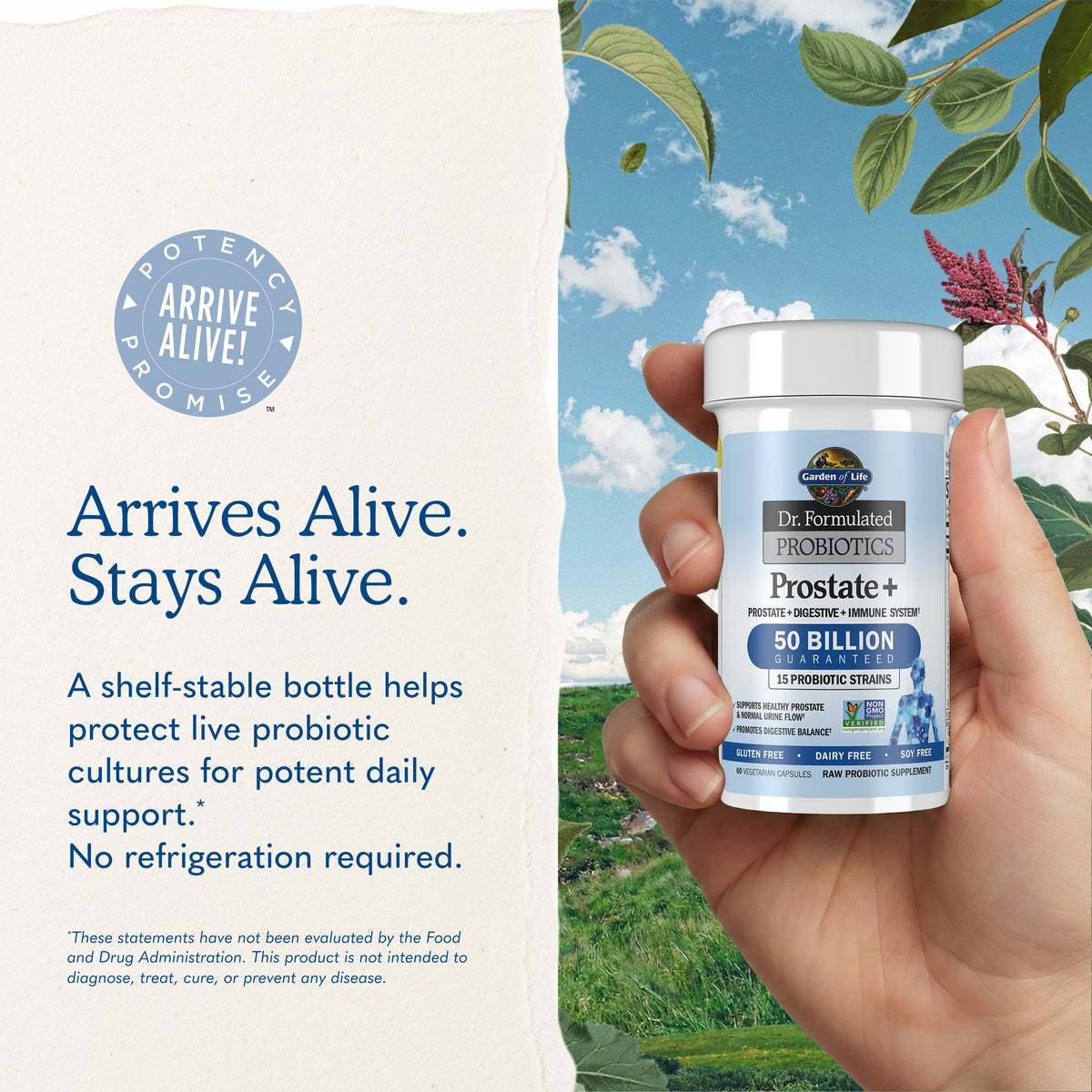 Garden of Life Dr. Formulated Probiotics Prostate+ Shelf-Stable - Key Benefits