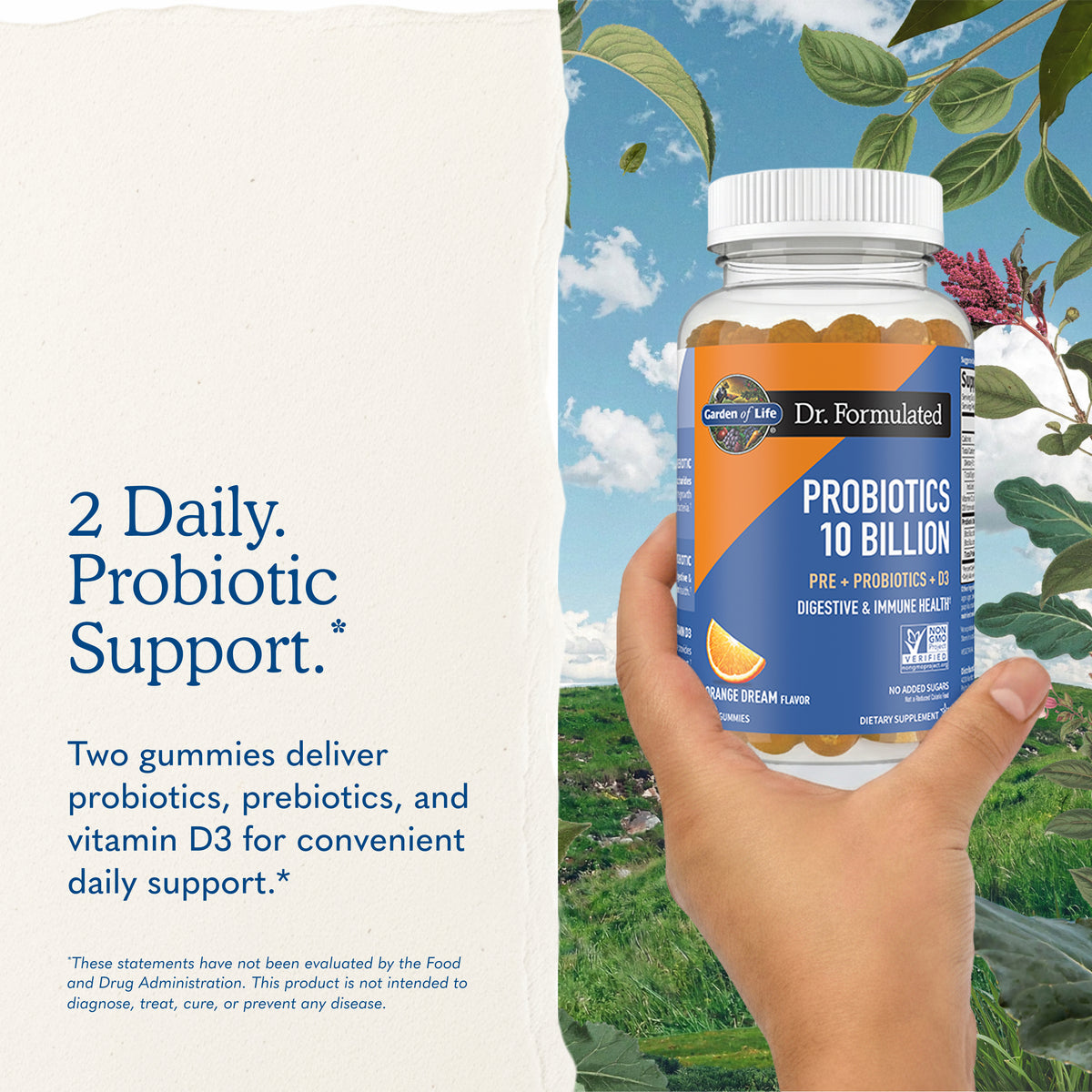 Garden of Life Dr. Formulated Probiotics 10 Billion Gummies - Orange Dream - Key Benefits