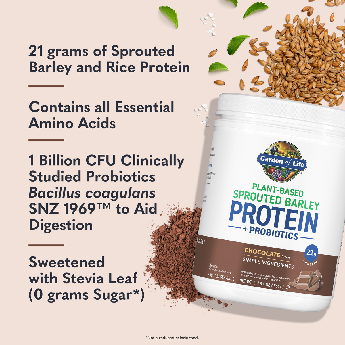Garden of Life Sprouted Barley Protein + Probiotics Powder - Chocolate - Ingredient Highlight