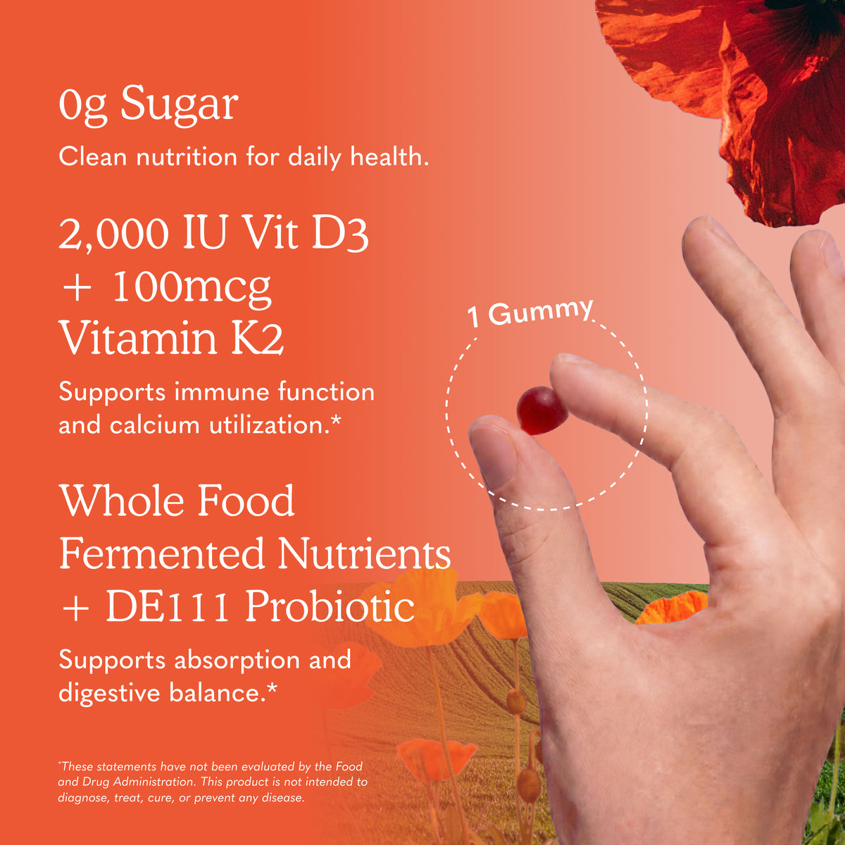 Garden of Life Vitamin Code D3 Plus K2 Gummies - Ingredient Highlight