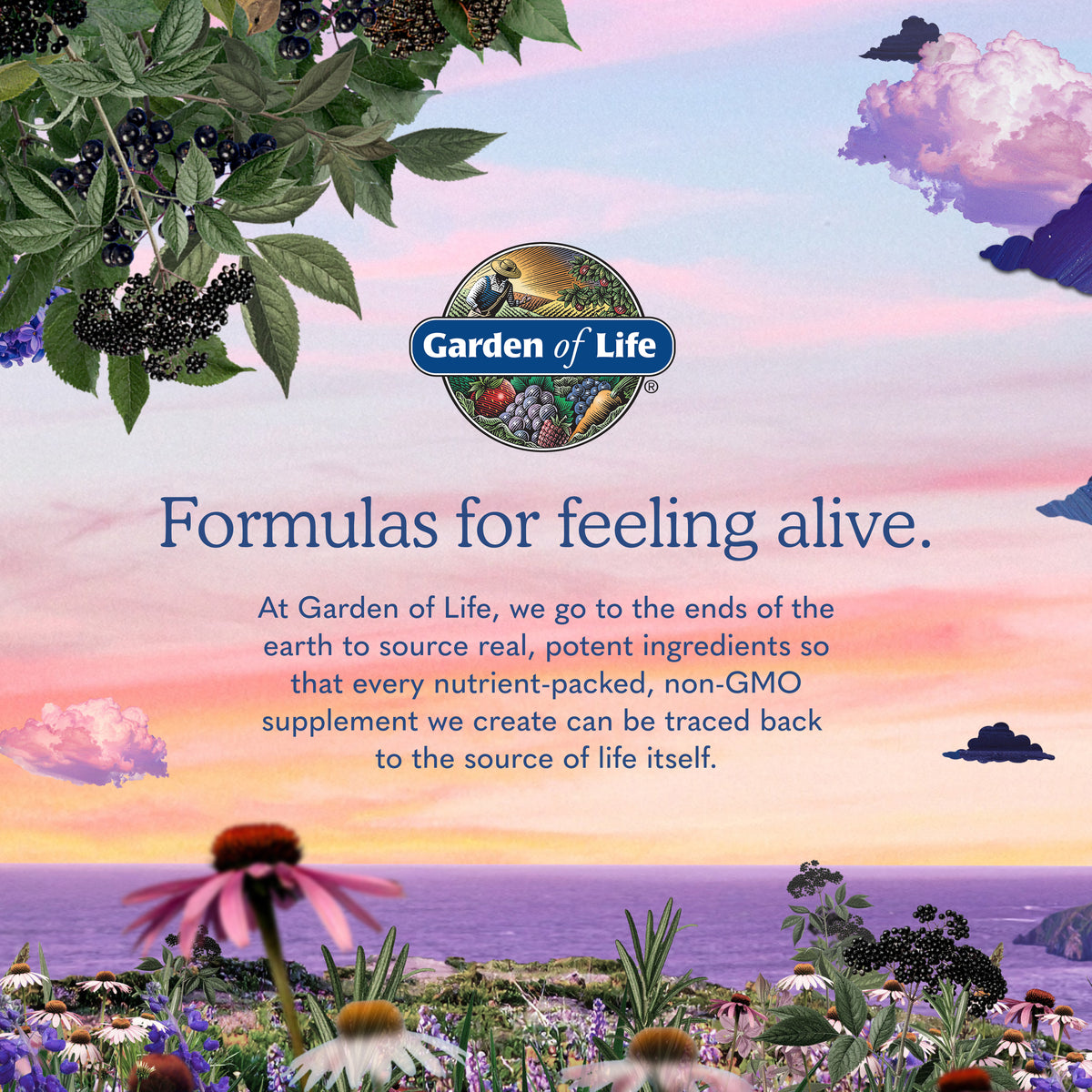 Garden of Life Vitamin Code D3 Plus K2 Gummies - Branded