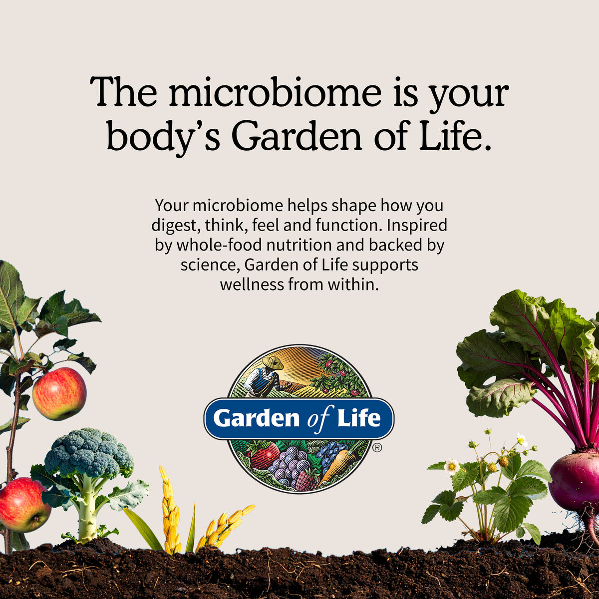 Garden of Life Dr. Formulated Probiotics Once Daily Men's Shelf-Stable - Key Benefits